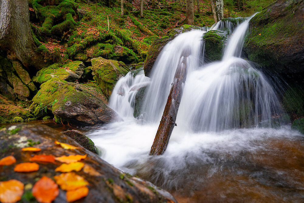 4 Wandertage im Bayer. Wald